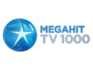TV1000 Megahit