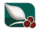 Logo del canale "Al Saeeda"