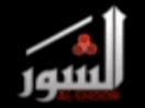 Logo del canale "Al Shoor TV"