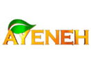 Logo del canal "Ayeneh TV"