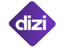 Logo of the channel "Dizi"