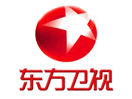 Logo des Kanals "Dragon TV"