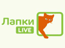 Логотип канала "Lapki Live"