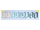 Logo del canale "Mahdawioun 313 TV"