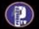 Logo de la chaîne "Perfect TV"