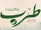 Logo de la chaîne "Rotana Tarab Jordan"