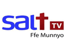 Логотип канала "Salt TV"