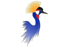 Logo del canale "Télé Tchad"