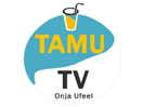 Logo de la chaîne "Tamu TV"