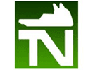 Логотип канала "TeleNostra"