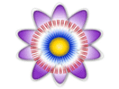 Logo de la chaîne "TV Cámara"