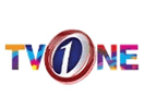 Logo del canal "TV One"