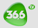 Logo of the channel "36i6 TV"