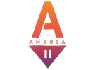 Logo of the channel "Amedia 2"