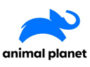 Logo of the channel "Animal Planet"