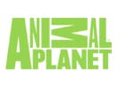 Логотип каналу "Animal Planet"