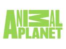 Logo of the channel "Animal Planet"