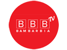 Logo of the channel "Бамбарбія"