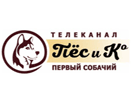 Логотип каналу "Пёс и Ко"