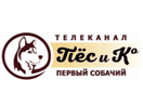 Logo of the channel "Пёс и Ко"